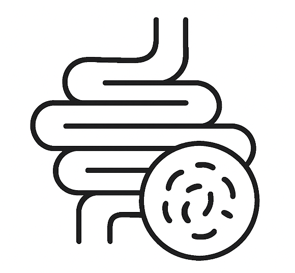 Gut Health and Hormones: How Your Microbiome Affects Estrogen